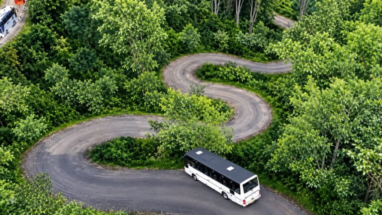 India Mountain Extreme Road Map