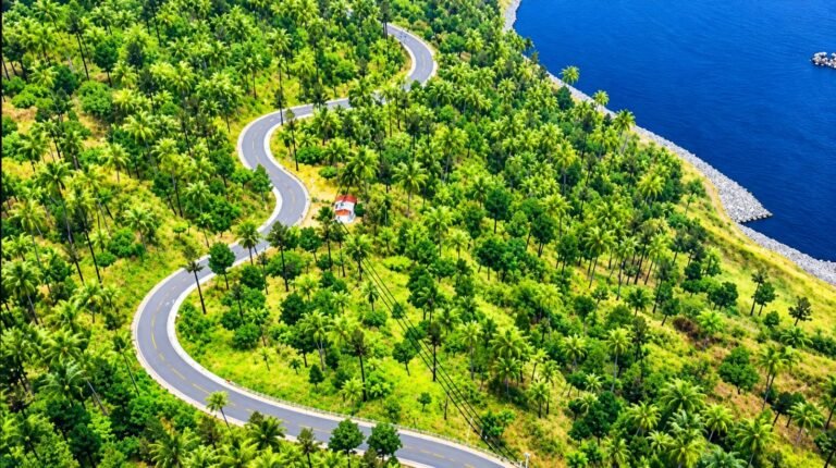 Mountain Forest Hills Map
